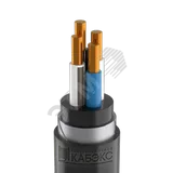 Кабель силовой ВБШвнг(А) 4х10 ок(N)-0,66